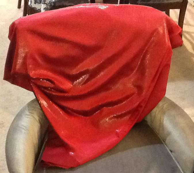 Ruby Stretch Velvet with Snakeskin Finish