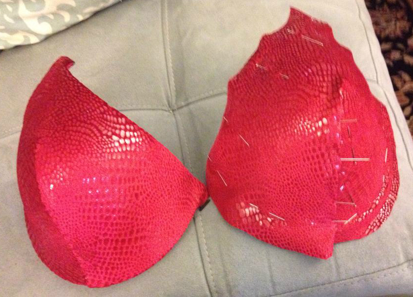 Covering the Ruby Bra Cups