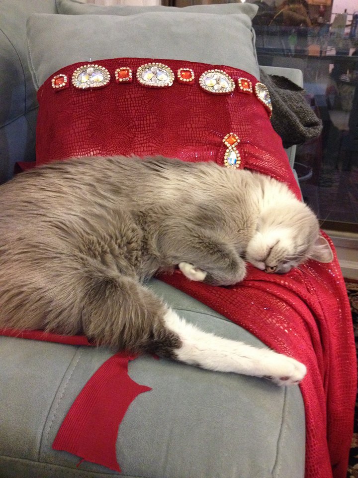 Pippin's creative contribution